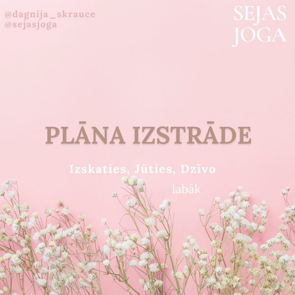 Individuāla plāna izstrāde